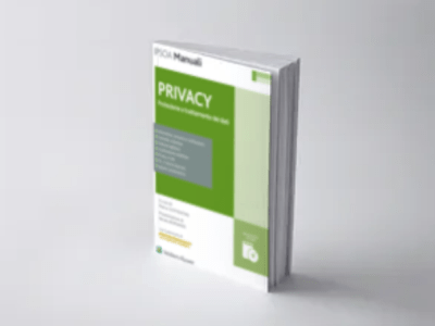 Il libro Privacy & Audit